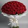 Букет 101 Красная роза Блэк Мэджик в Левково