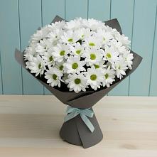 Букет цветов из:  Хризантемы #REPLACE_PRED# Левково