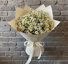 Букет цветов из:  Ромашки #REPLACE_PRED# Левково